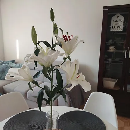 Rodzinny Przy Aquaparku