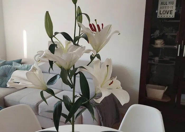 Rodzinny Przy Aquaparku